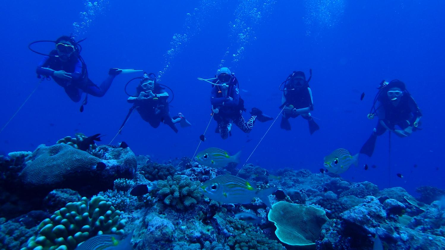 1765350349534602.jpg FQTK1116.JPG